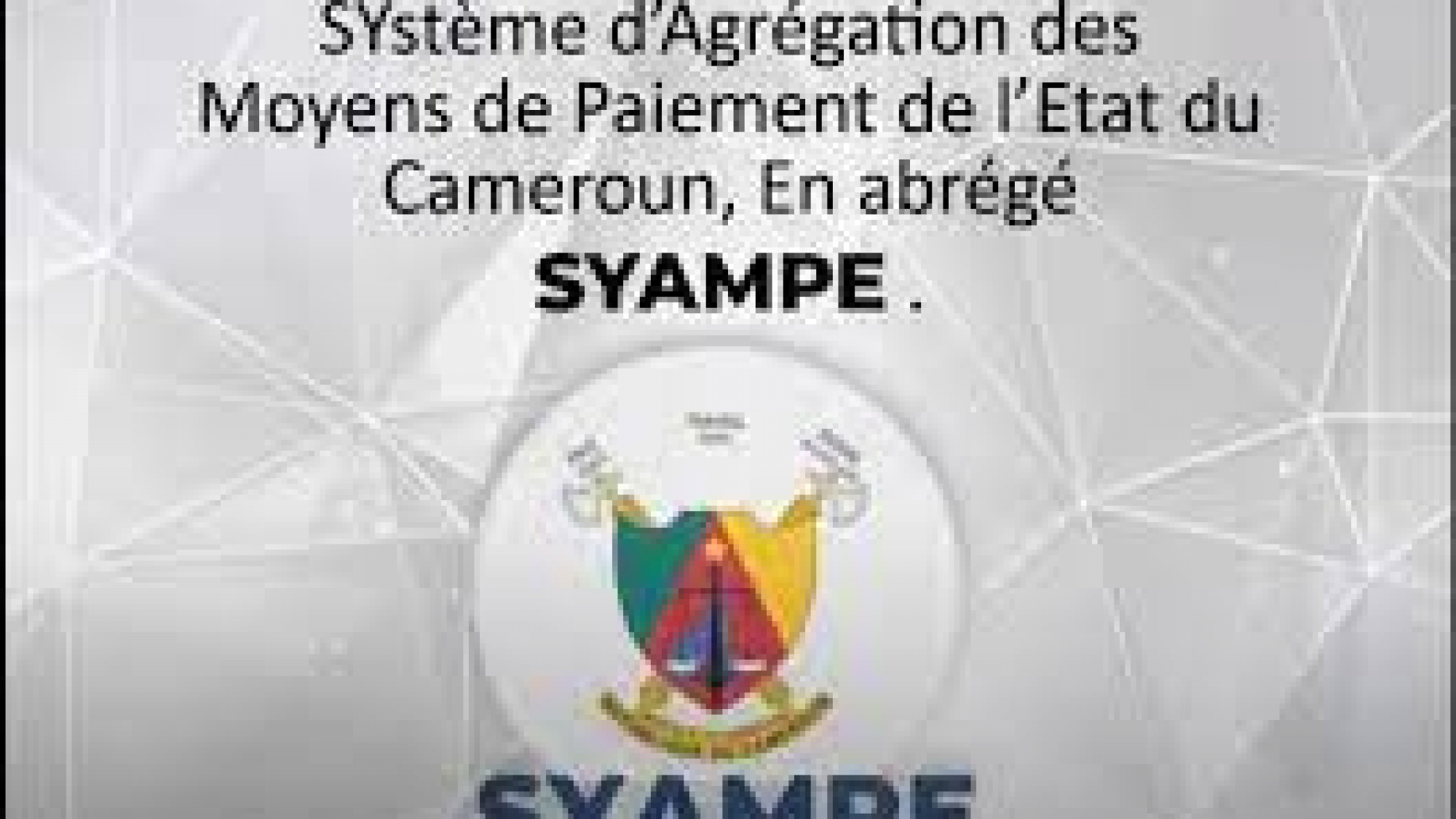 Système d’Agrégation des Moyens de paiement de l’Etat